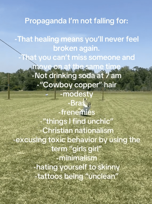 TikTok video with a woman ziplining in a field.