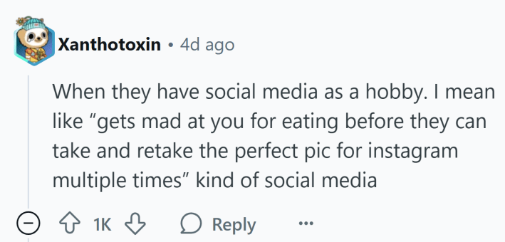 Reddit comment that reads, "When they have social media as a hobby. I mean like 'gets mad at you for eating before they can take and retake the perfect pic for instagram multiple times' kind of social media"