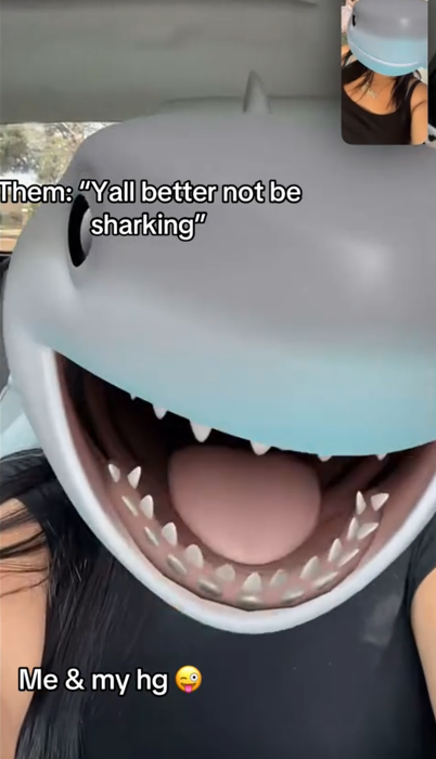 TikTok video showing two women talking on video chat with shark heads.
