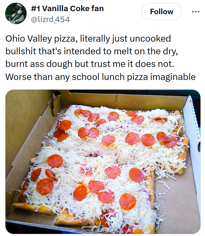 State with the worst pizza tweet reading "Ohio Valley pizza, literally just uncooked bullshit that's intended to melt on the dry, burnt ass dough but trust me it does not. Worse than any school lunch pizza imaginable" with a photo of the pizza.