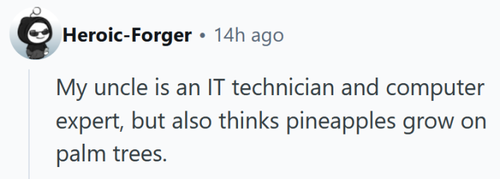 Reddit comment reading "My uncle is an IT technician and computer expert, but also thinks pineapples grow on palm trees."