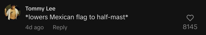 @tommylee338 on TikTok: *lowers Mexican flag to half-mast*