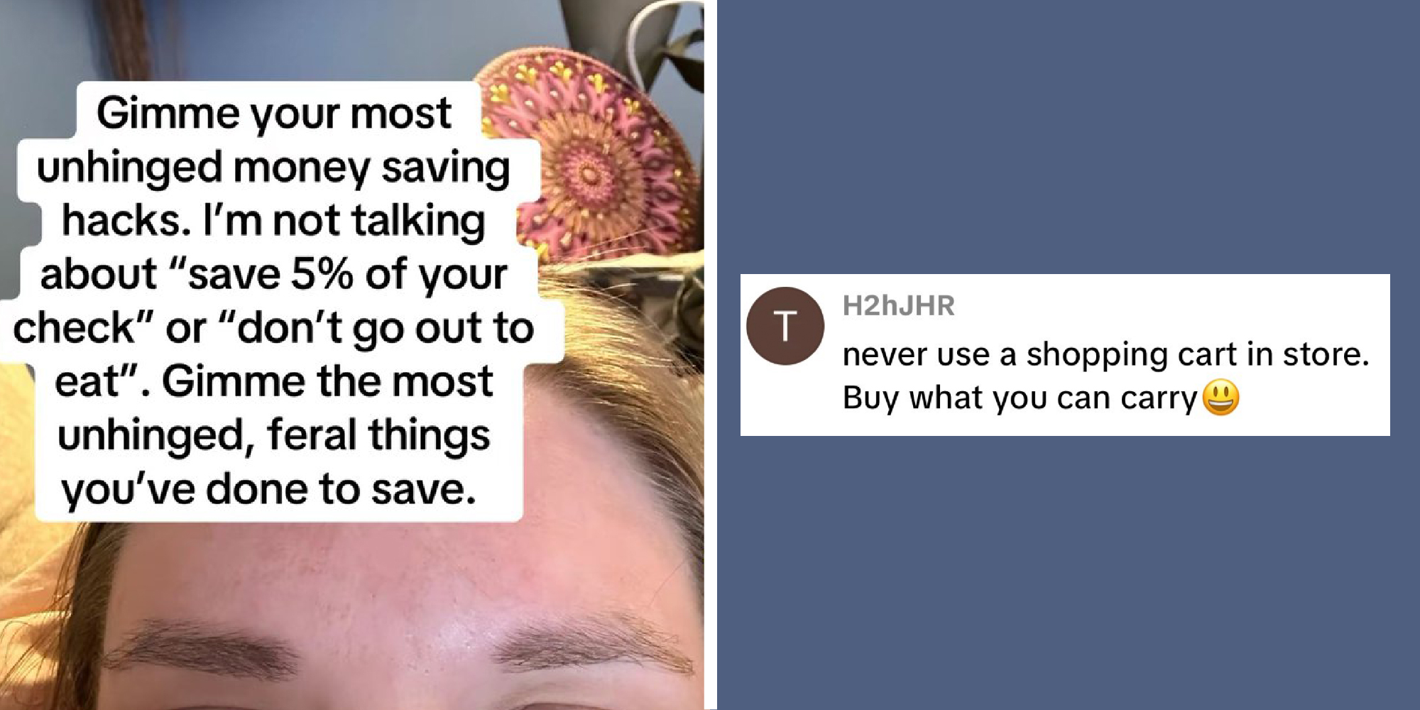 2 panel image with text over Gimme your most unhinged money saving hacks. And the response: never use a shopping cart in store. Buy what you can carry.