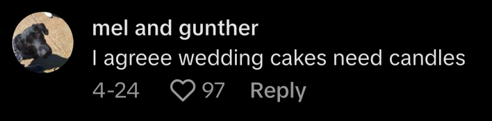 "I agree, wedding cakes need candles," said @gunther_the_service_lab.