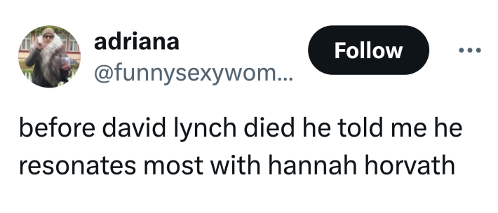 Tweet that reads, "before david lynch died he told me he resonates most with hannah horvath"
