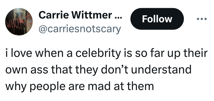 Tweet that reads, "i love when a celebrity is so far up their own a** that they don’t understand why people are mad at them"