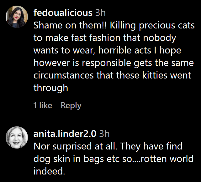 Instagram comments including one reading "Shame on them!! Killing precious cats to make fast fashion that nobody wants to wear, horrible acts I hope however is responsible gets the same circumstances that these kitties went through."
