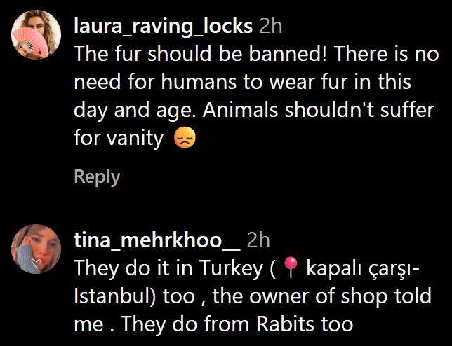 Instagram comments including one reading "The fur should be banned! There is no need for humans to wear fur in this day and age. Animals shouldn't suffer for vanity."