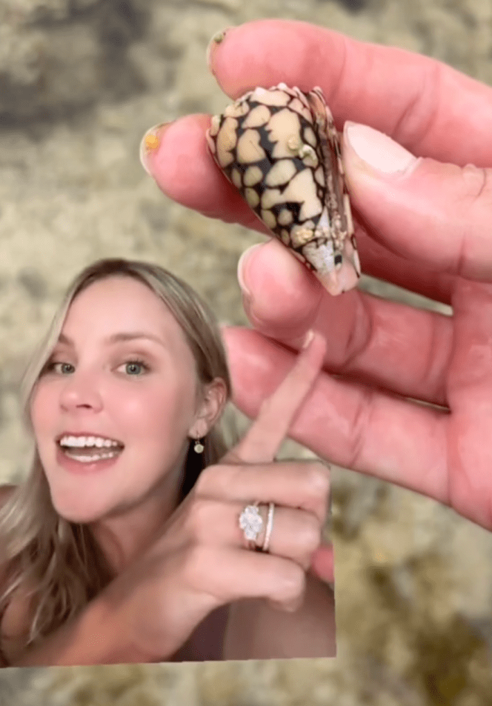@beckyleeinoki/TikTok picking up deadly cone snail with bare hands