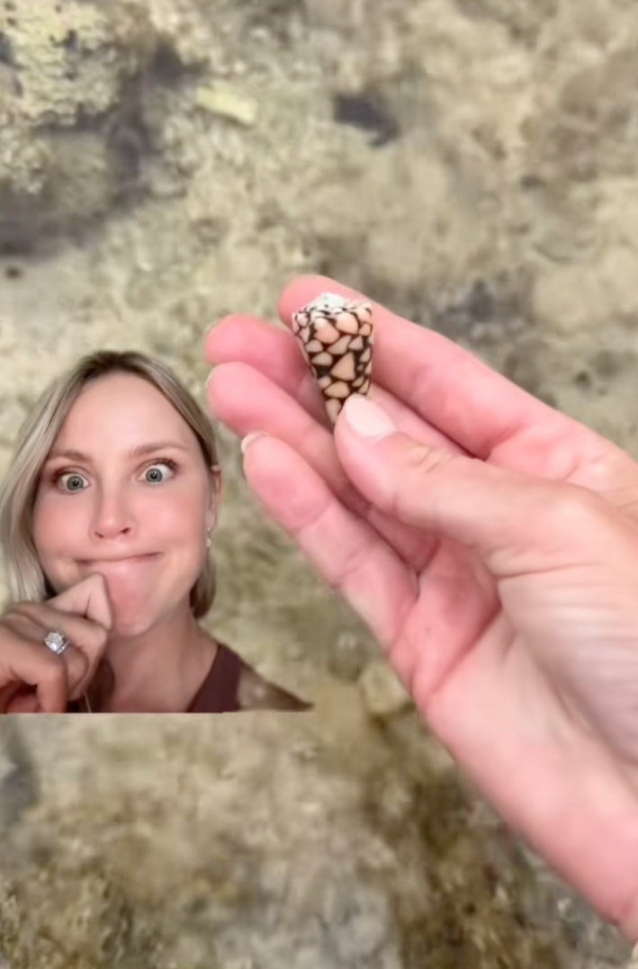@beckyleeinoki/TikTok picking up deadly cone snail with bare hands