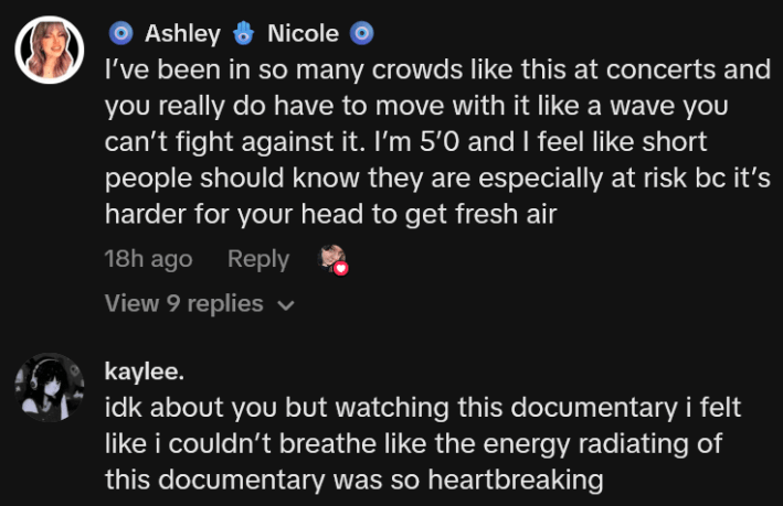 Crowd safety TikTok comments including one reading "I’ve been in so many crowds like this at concerts and you really do have to move with it like a wave you can’t fight against it. I’m 5’0 and I feel like short people should know they are especially at risk bc it’s harder for your head to get fresh air"