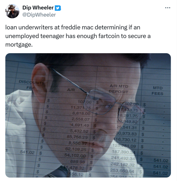 Tweet that reads, "loan underwriters at freddie mac determining if an unemployed teenager has enough fartcoin to secure a mortgage."