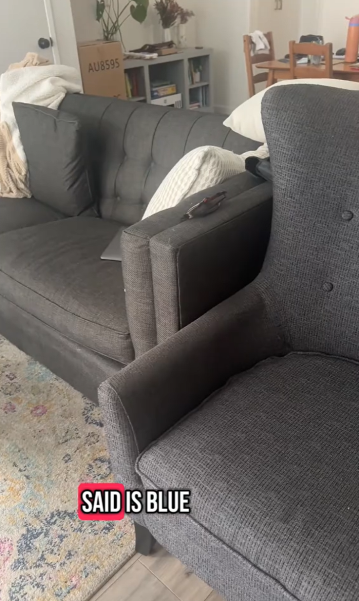 colorblind couch is gray