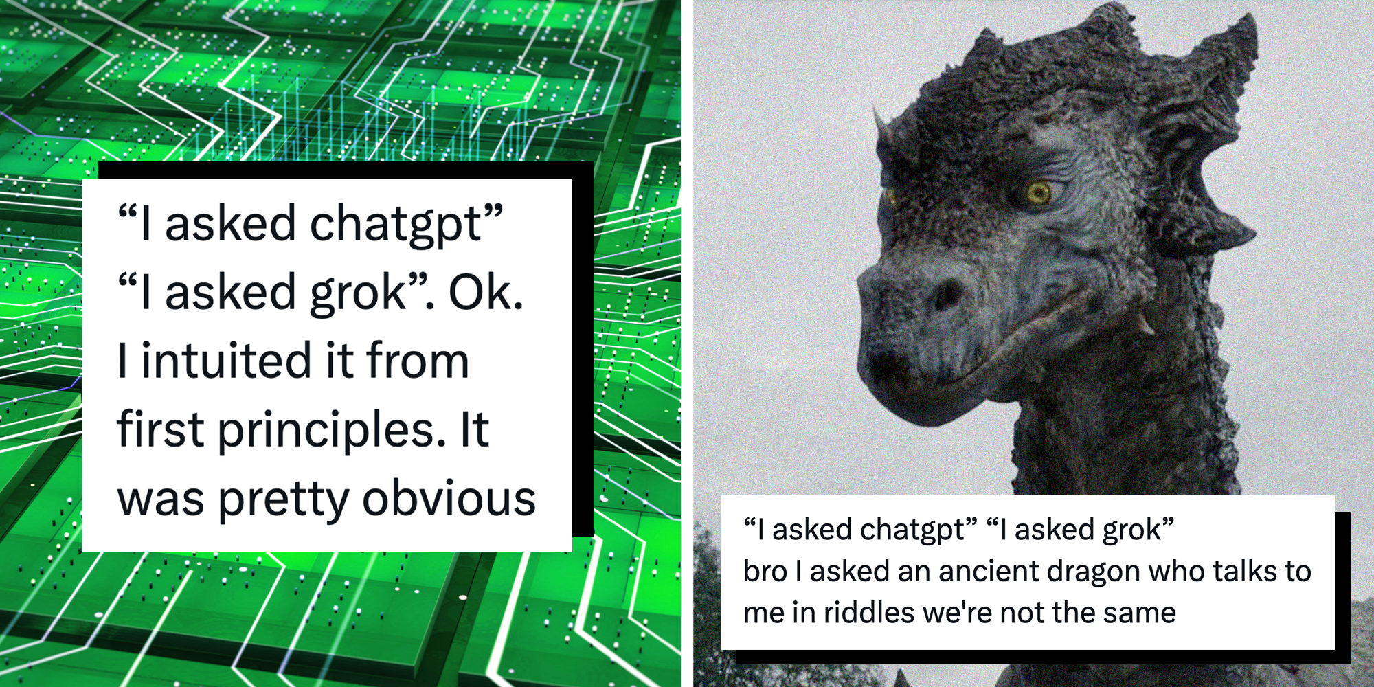 Right: Tweet reading ""I asked chatgpt" "I asked grok" bro I asked an ancient dragon who talks to me in riddles we're not the same" over an image of a dragon from Game of Thrones. Left: A tweet reading "'I asked chatgpt' 'I asked grok'. Ok. I intuited it from first principles. It was pretty obivous."