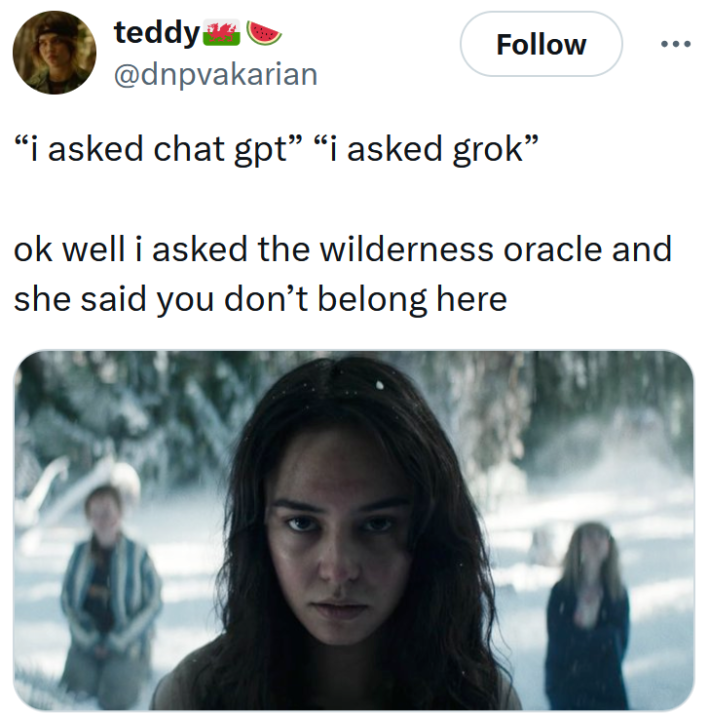 Tweet reading "“i asked chat gpt” “i asked grok” ok well i asked the wilderness oracle and she said you don’t belong here"