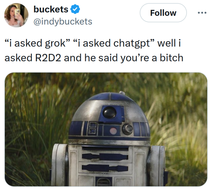 Tweet reading "“i asked grok” “i asked chatgpt” well i asked R2D2 and he said you’re a bitch"
