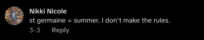 “St-Germain = summer. I don’t make the rules,” commented @nobodyaskedbutanyway.