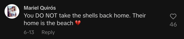 “You DO NOT take the shells back home. Their home is the beach 💔.”