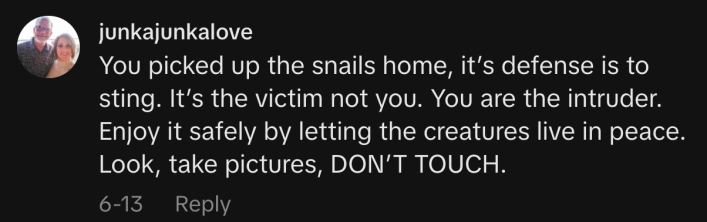 “You picked up the snails home, it’s defense is to sting. It’s the victim not you. You are the intruder. Enjoy it safely by letting the creatures live in peace. Look, take pictures, DON’T TOUCH.”