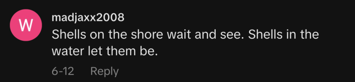 “Shells on the shore wait and see. Shells in the water let them be.”