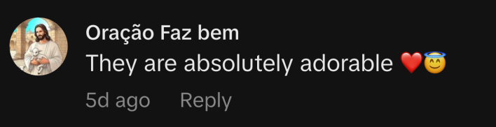 “They are absolutely adorable,” said @oracaofazbem.