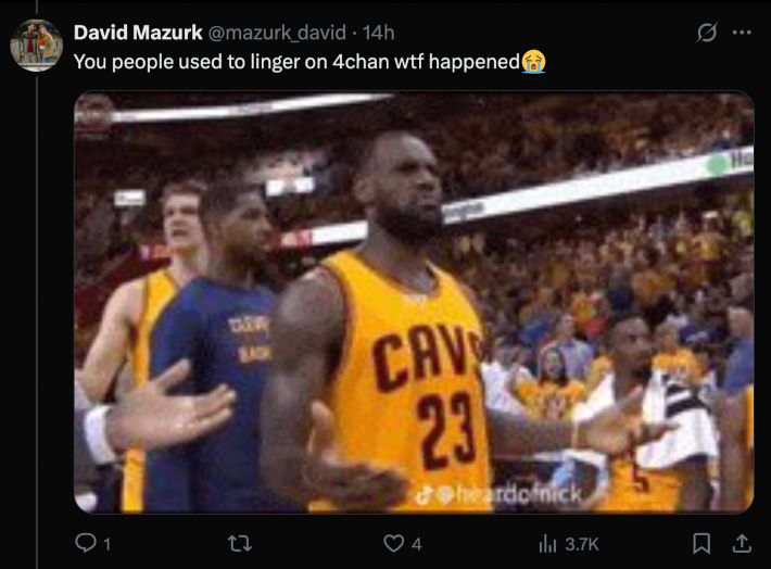 “You people used to linger on 4chan wtf happened?”