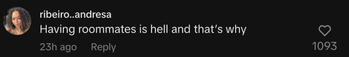 “Having roommates is hell and that’s why,” @ribeiro..andresa responded.