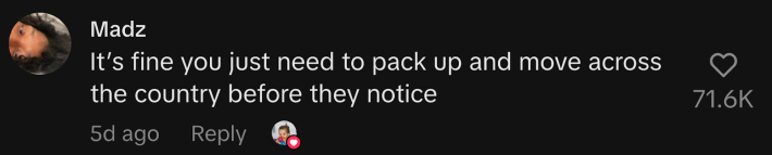 “It’s fine you just need to pack up and move across the country before they notice,” said @aggravatingpie.
