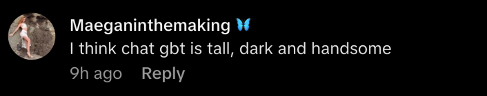 “I think chat gbt is tall, dark and handsome,” commented @maeganinthemaking.