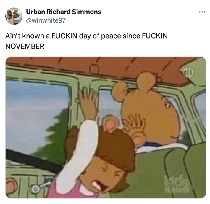 Tweet that reads, "Ain’t known a F*CKIN day of peace since F*CKIN NOVEMBER" with a screenshot of D.W. from Arthur throwing a fit in the back seat of the car.