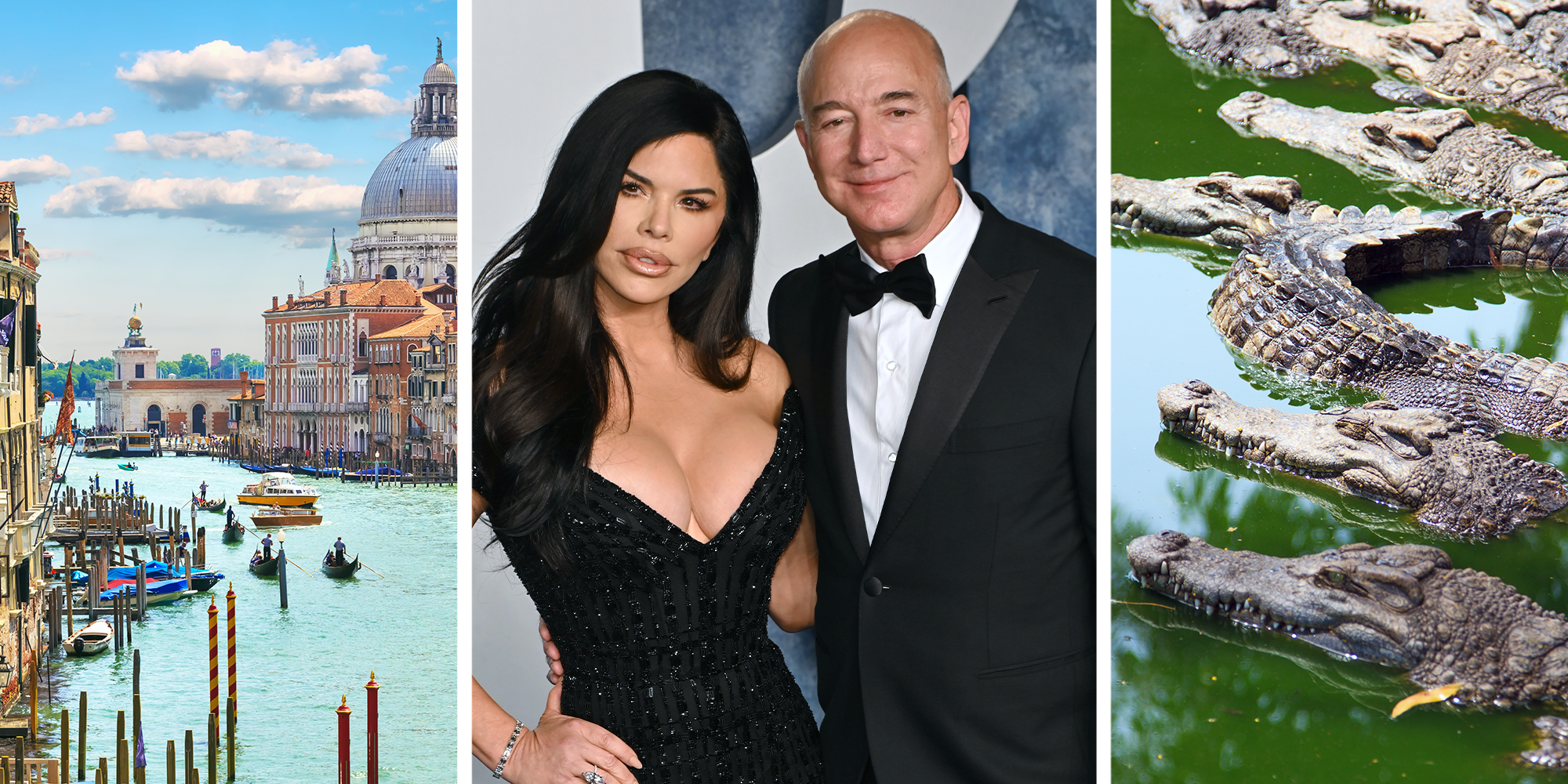 jeff bezos lauren sanchez wedding venice canal protest crocodiles
