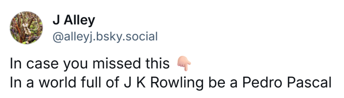 Post that reads, "In case you missed this. In a world full of J K Rowling be a Pedro Pascal."