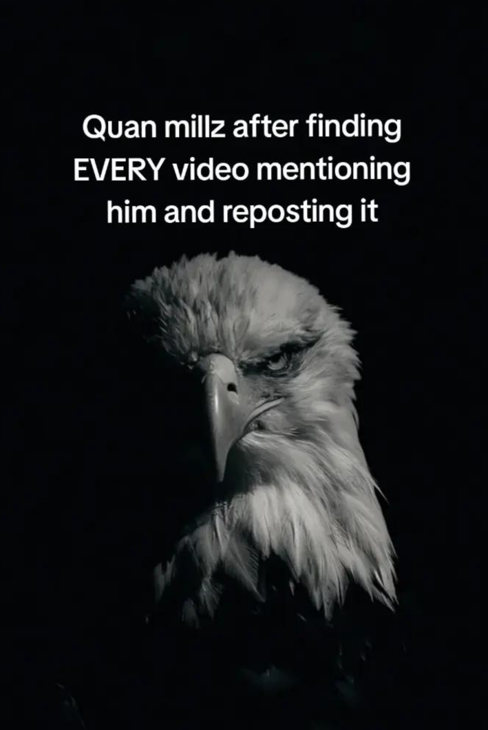 “Quan Millz after finding EVERY video mentioning him and reposting it.”