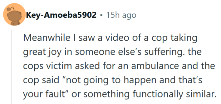Reddit comment reading "Meanwhile I saw a video of a cop taking great joy in someone else’s suffering. the cops victim asked for an ambulance and the cop said “not going to happen and that’s your fault“ or something functionally similar."