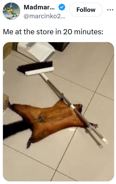 Tweet reading "Me at the store in 20 minutes:" with a photo of a squirrel pinned under a broom handle.