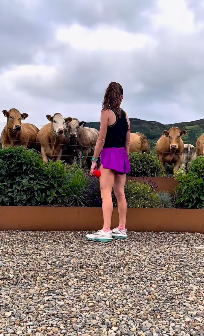 @ahousebythetrees on instagram running in front of cows with run stats