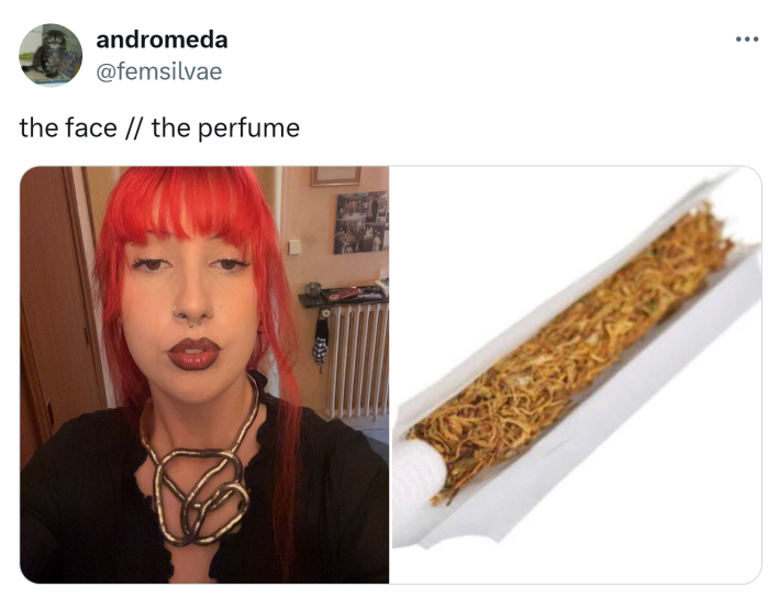 The face vs the perfume meme trend with a long container of noodles.