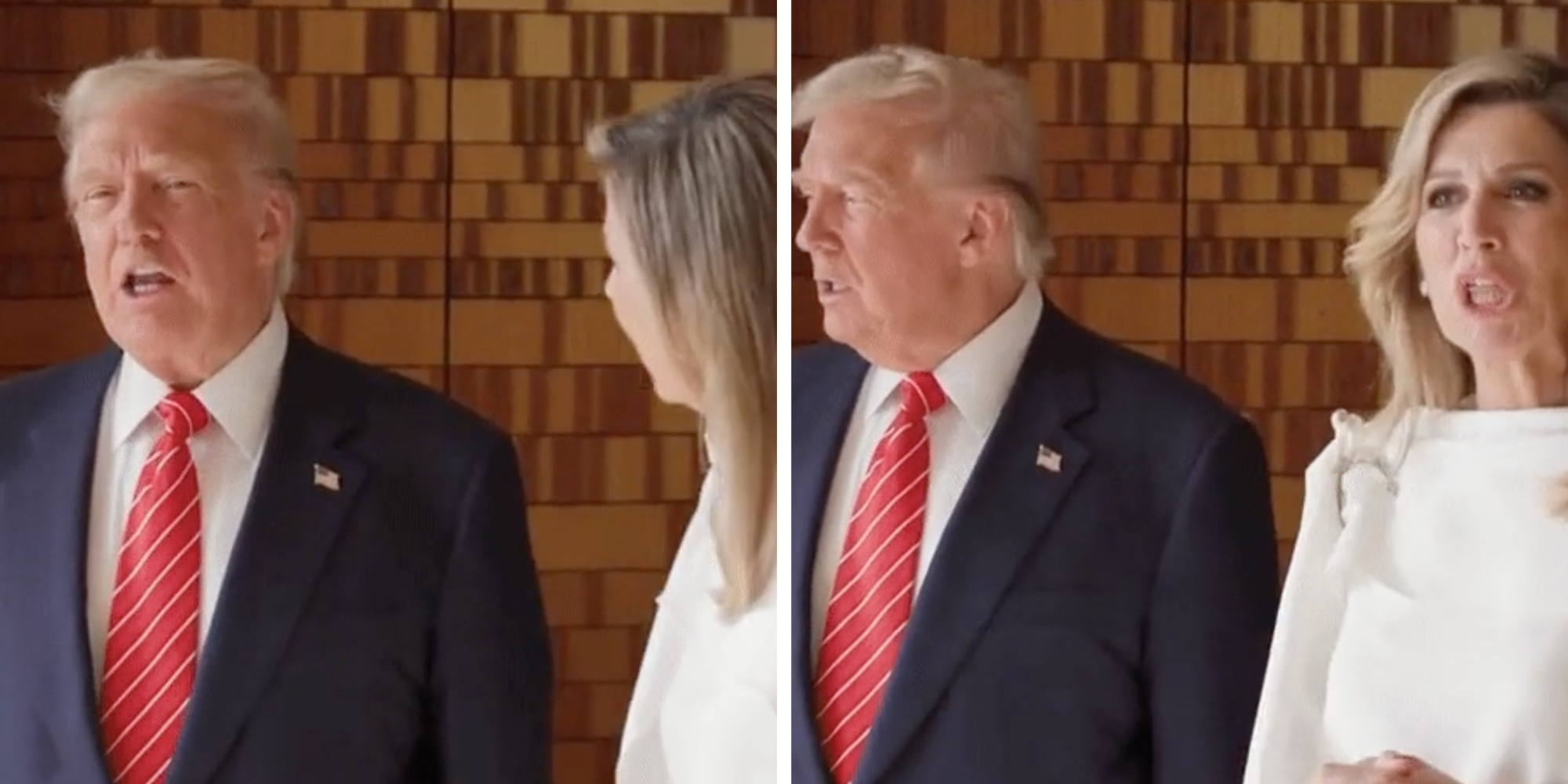 President Donald Trump standing next to Queen Maxima Of The Netherlands, she appears to be mocking him