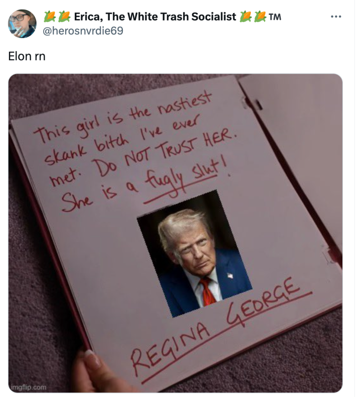 Tweet that reads, "Elon rn" with a burn book of Trump.