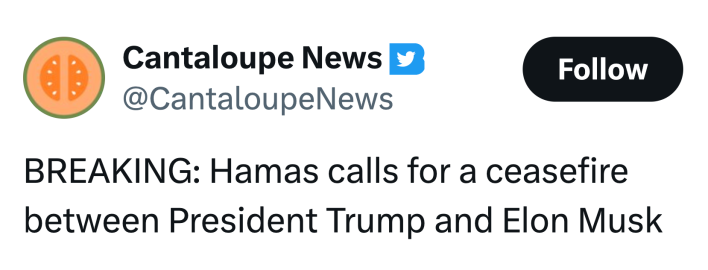 Tweet that reads, "BREAKING: Hamas calls for a ceasefire between President Trump and Elon Musk"