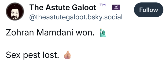 Post that reads, "Zohran Mamdani won. 🗽 Sex pest lost. 👍🏼"