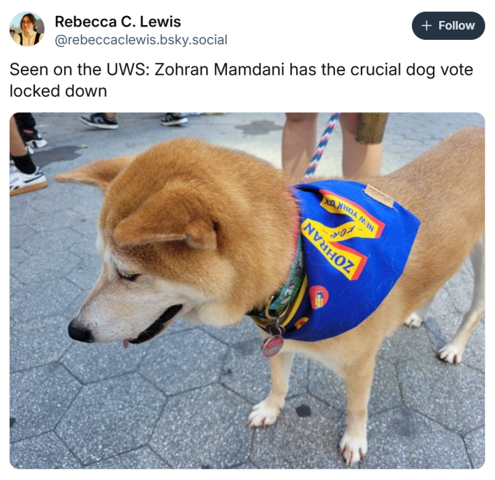 Post that reads, "Seen on the UWS: Zohran Mamdani has the crucial dog vote locked down" with a photo of a dog wearing Mamdani's bandana.