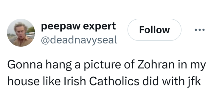 Tweet that reads, "Gonna hang a picture of Zohran in my house like Irish Catholics did with jfk"