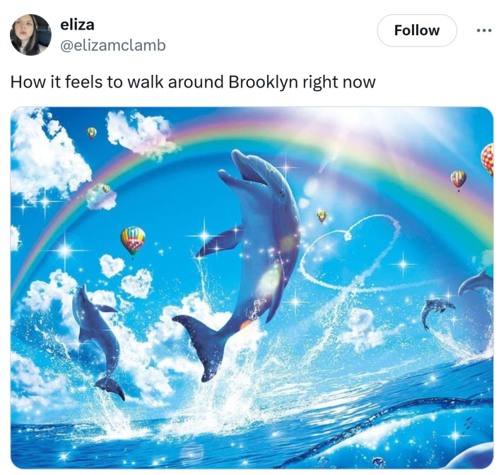 Tweet that reads, "How it feels to walk around Brooklyn right now" with art of dolphins jumping out of the water with a rainbow in the sky.