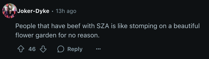 SZA stan u/Joker-Dyke commented, “People that have beef with SZA is like stomping on a beautiful flower garden for no reason.”