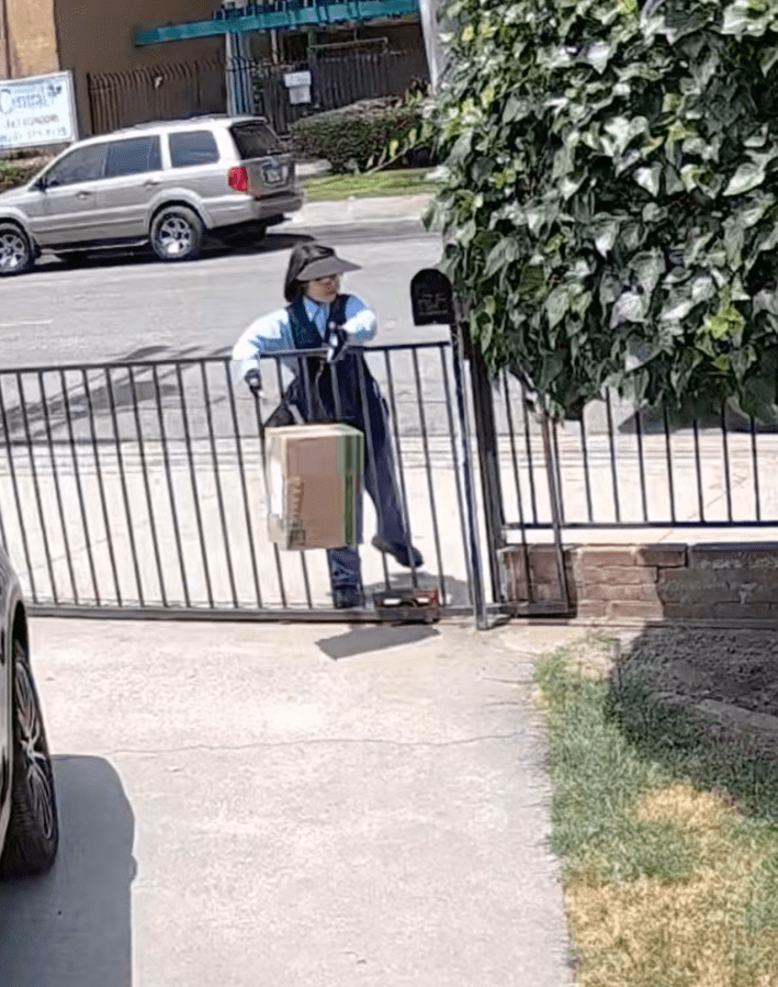 @astridxtx/TikTok mail carrier dropping package over gate