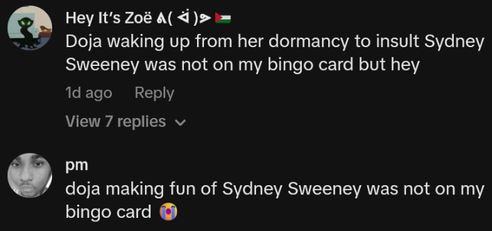 TikTok comments including one reading "Doja waking up from her dormancy to insult Sydney Sweeney was not on my bingo card but hey"