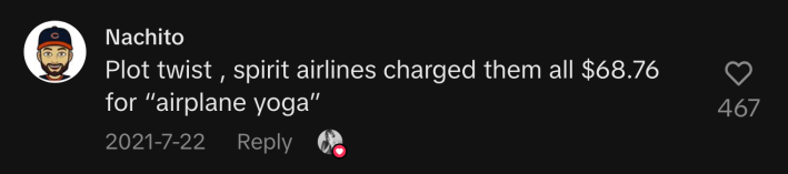 @nachitojohnson joked, "Plot twist, Spirit Airlines charged them all $68.76 for 'airplane yoga.'"