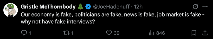 “Our economy is fake, politicians are fake, news is fake, job market is fake - why not have fake interviews?”