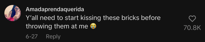 "Y'all need to start kissing these bricks before throwing them at me."